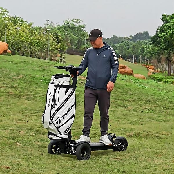 Ecorider 3 Wheels E7-3 Electric Scooter Golf Skate Stand up 48V Golf Escooter Three-wheel Scooter 1200w Brushless Hub Motor 13A - Image 3
